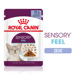 ROYAL CANIN SENSORY FEEL JELLY 12X