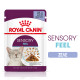 ROYAL CANIN SENSORY FEEL JELLY 12X ROYAL CANIN SENSORY FEEL JELLY 12X