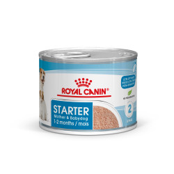 ROYAL CANIN STARTER MOUSSE CAN 12X