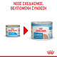 ROYAL CANIN STARTER MOUSSE CAN 12X ROYAL CANIN STARTER MOUSSE CAN 12X
