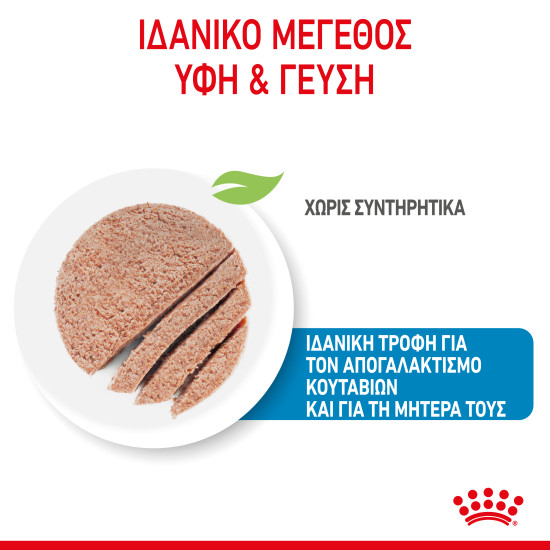 ROYAL CANIN STARTER MOUSSE CAN 12X ROYAL CANIN STARTER MOUSSE CAN 12X