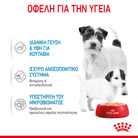 ROYAL CANIN STARTER MOUSSE CAN 12X ROYAL CANIN STARTER MOUSSE CAN 12X