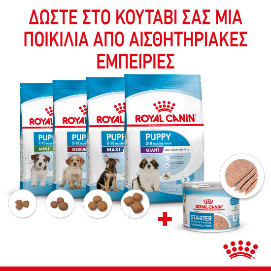 ROYAL CANIN STARTER MOUSSE CAN 12X ROYAL CANIN STARTER MOUSSE CAN 12X