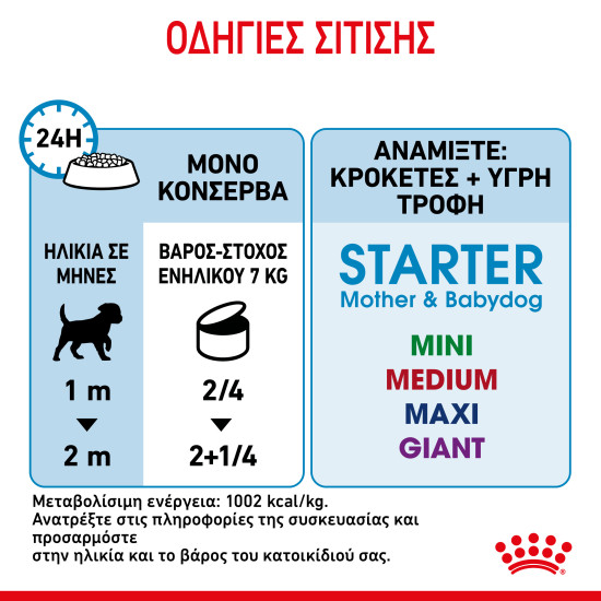 ROYAL CANIN STARTER MOUSSE CAN 12X ROYAL CANIN STARTER MOUSSE CAN 12X