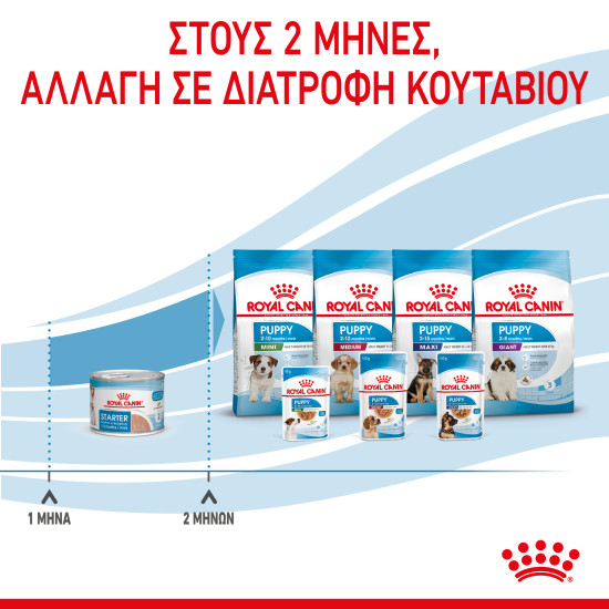 ROYAL CANIN STARTER MOUSSE CAN 12X ROYAL CANIN STARTER MOUSSE CAN 12X