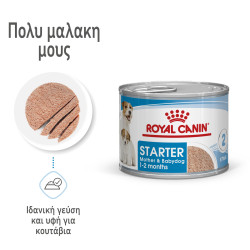 ROYAL CANIN STARTER MOUSSE CAN 12X