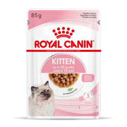 ROYAL CANIN KITTEN GRAVY 12X