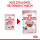 ROYAL CANIN KITTEN GRAVY 12X