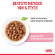 ROYAL CANIN KITTEN GRAVY 12X