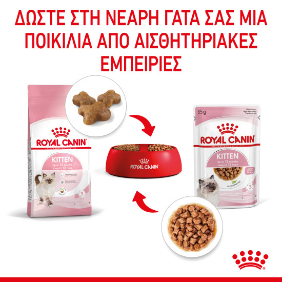 ROYAL CANIN KITTEN GRAVY 12X
