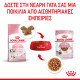 ROYAL CANIN KITTEN GRAVY 12X