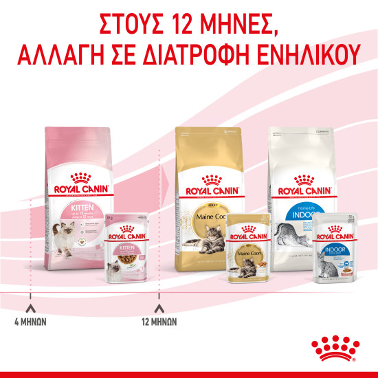 ROYAL CANIN KITTEN GRAVY 12X