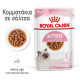 ROYAL CANIN KITTEN GRAVY 12X