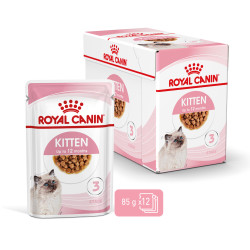 ROYAL CANIN KITTEN GRAVY 12X
