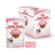 ROYAL CANIN KITTEN GRAVY 12X