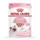 ROYAL CANIN KITTEN LOAF 12X ROYAL CANIN KITTEN LOAF 12X