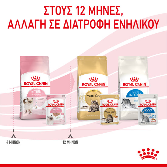 ROYAL CANIN KITTEN LOAF 12X ROYAL CANIN KITTEN LOAF 12X
