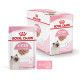 ROYAL CANIN KITTEN LOAF 12X ROYAL CANIN KITTEN LOAF 12X