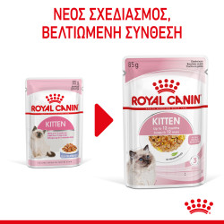 ROYAL CANIN KITTEN  JELLY 12X