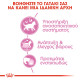 ROYAL CANIN KITTEN STERILISED GRAVY 12X ROYAL CANIN KITTEN STERILISED GRAVY 12X