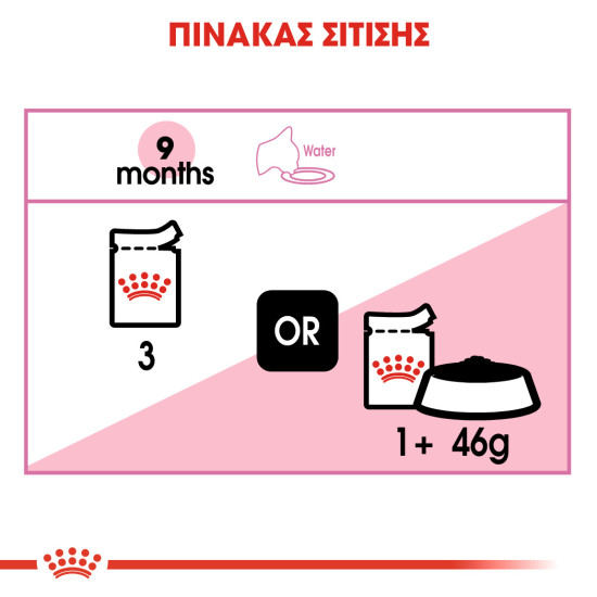 ROYAL CANIN KITTEN STERILISED GRAVY 12X ROYAL CANIN KITTEN STERILISED GRAVY 12X