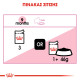 ROYAL CANIN KITTEN STERILISED GRAVY 12X ROYAL CANIN KITTEN STERILISED GRAVY 12X