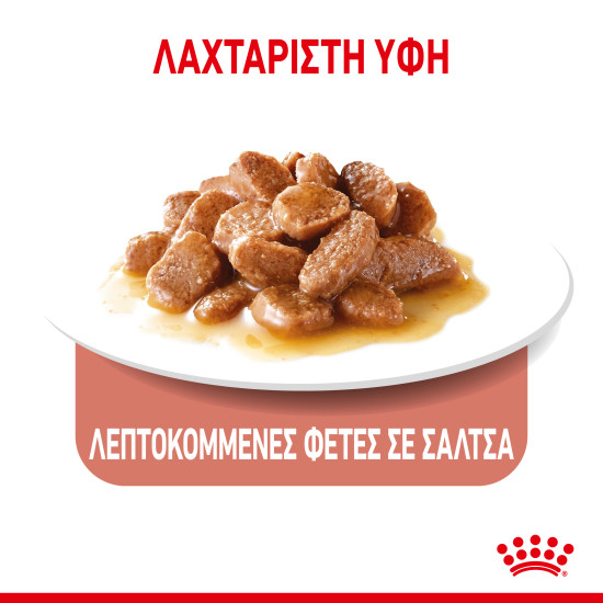ROYAL CANIN APPETITE CONTROL GRAVY 12X ROYAL CANIN APPETITE CONTROL GRAVY 12X