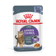 ROYAL CANIN APPETITE CONTROL JELLY 12X ROYAL CANIN APPETITE CONTROL JELLY 12X