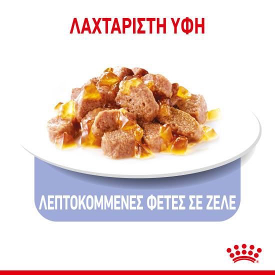 ROYAL CANIN APPETITE CONTROL JELLY 12X ROYAL CANIN APPETITE CONTROL JELLY 12X