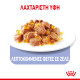 ROYAL CANIN APPETITE CONTROL JELLY 12X ROYAL CANIN APPETITE CONTROL JELLY 12X