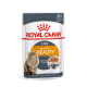 ROYAL CANIN HAIR & SKIN JELLY 12X ROYAL CANIN HAIR & SKIN JELLY 12X