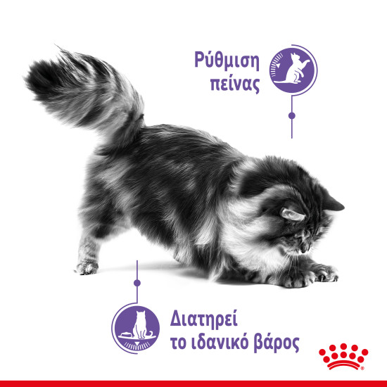 ROYAL CANIN APPETITE CONTROL LOAF 12X ROYAL CANIN APPETITE CONTROL LOAF 12X